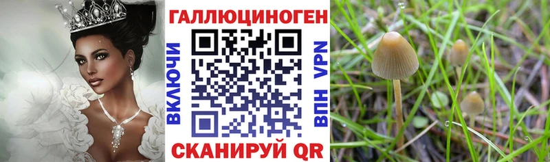 Псилоцибиновые грибы ЛСД  Купить где  Мышкин 